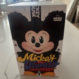 Disney Mickey Mouse Collectible Box - DONALD